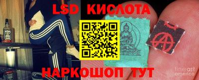 спиды Дубна