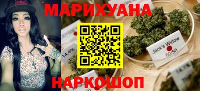 спиды Дубна