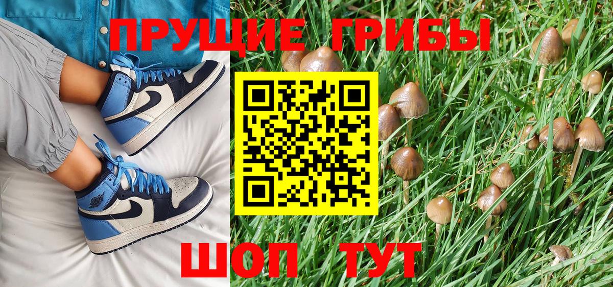 Псилоцибиновые грибы Magic Shrooms  Вход с VPN  Наро-Фоминск 